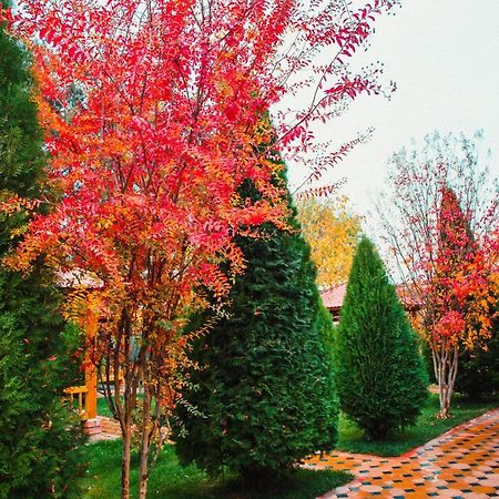 Hotel Grace Garden Kum Exterior foto